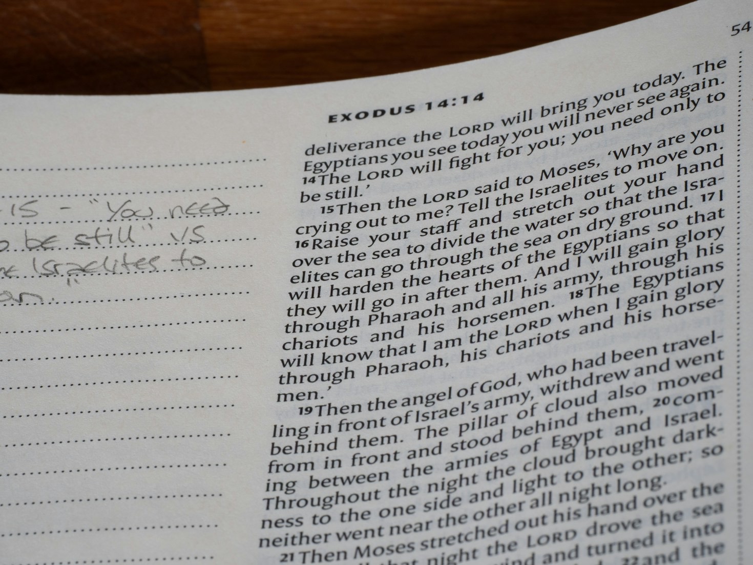 The Interplay of Faith and Doubt in Psalms